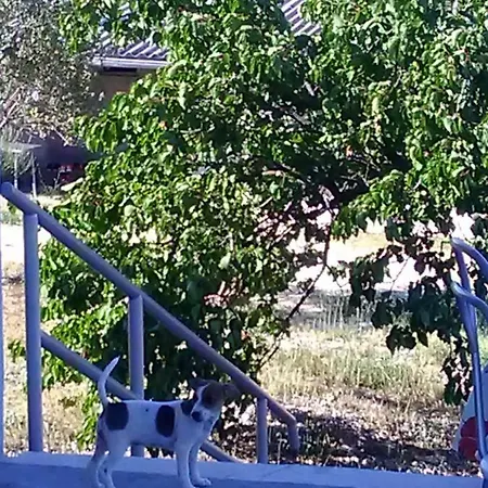 Panorama Lejlighed *