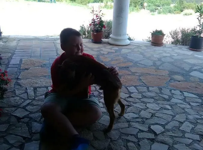 Apartment Panorama Skradin